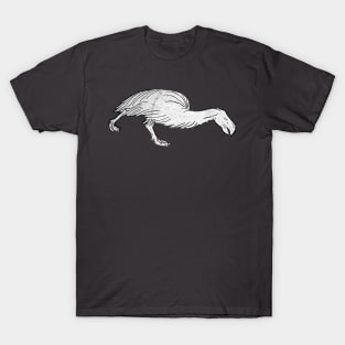 Dodo T-Shirt